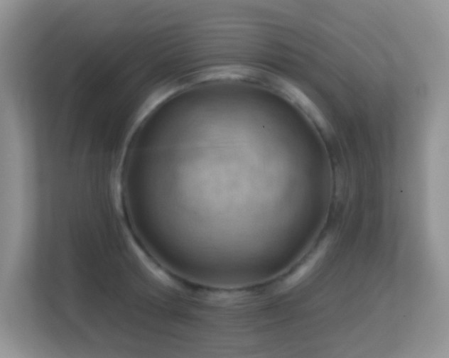 X0000113900802200909241436