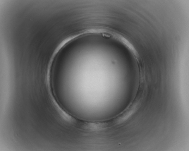 X0000113900803200909241436
