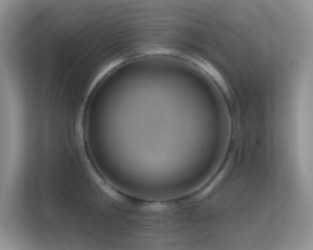 X0000113900806200909241436