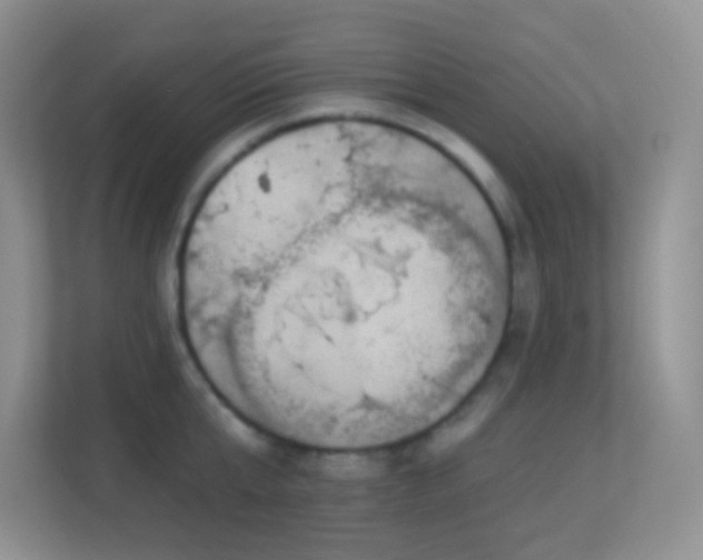X0000113900807200909241436