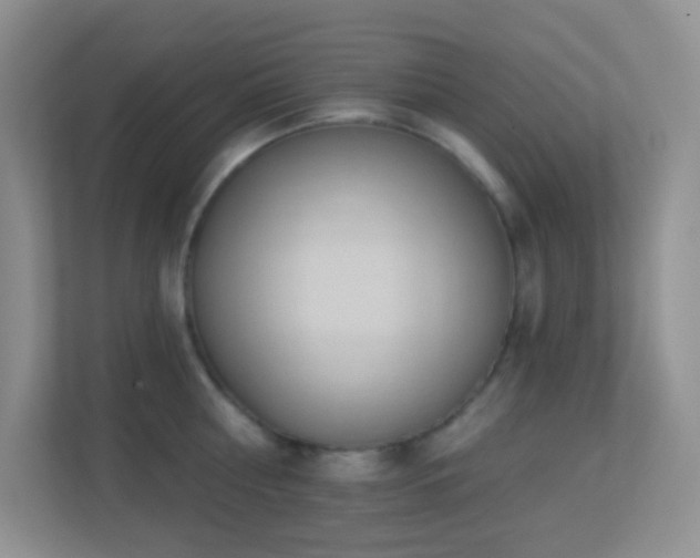 X0000113900810200909241436