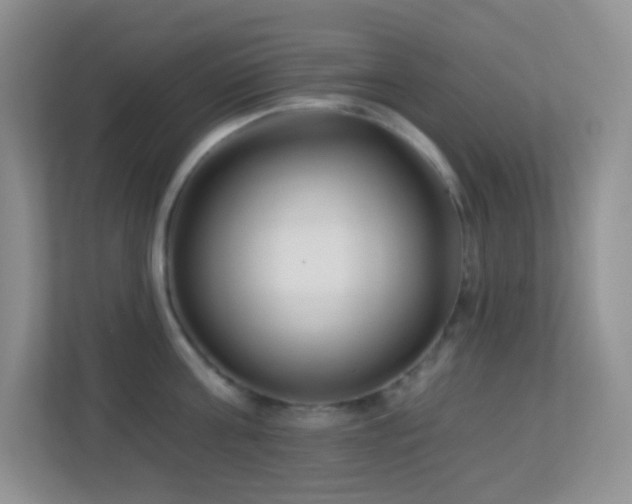 X0000113900811200909241436