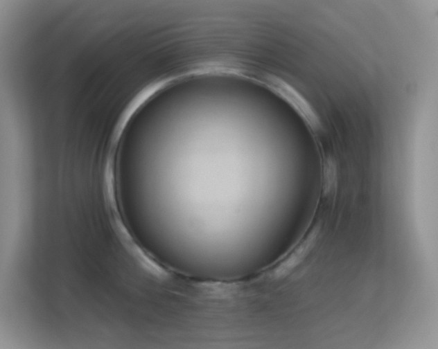 X0000113900812200909241436