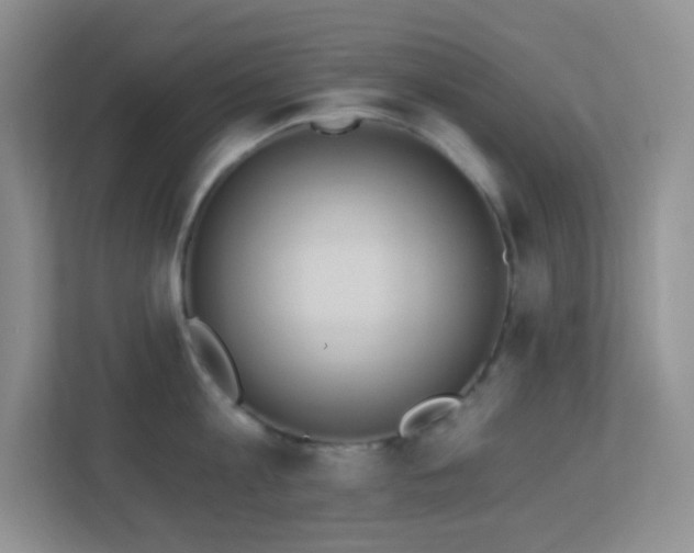 X0000113900813200909241436