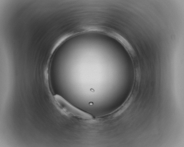 X0000113900814200909241436
