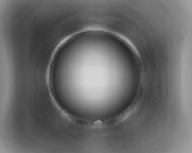 X0000113900815200909241436