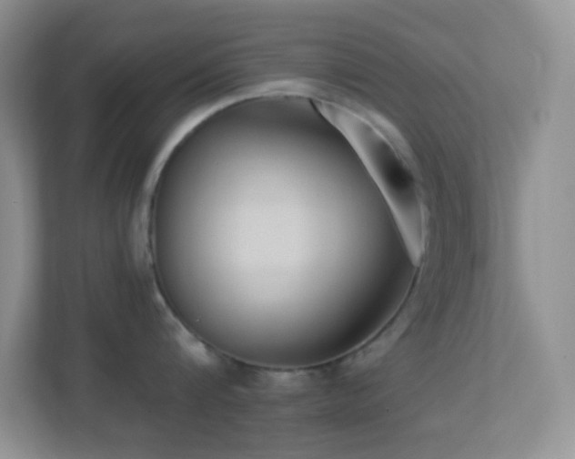 X0000113900816200909241436