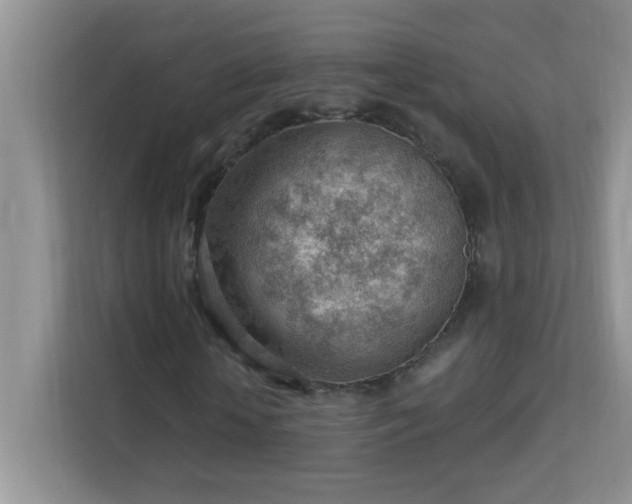 X0000113900818200909241435
