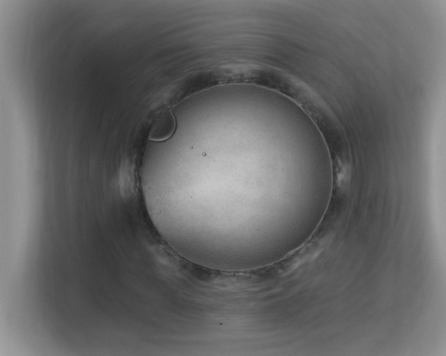 X0000113900819200909241435