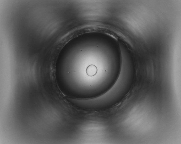 X0000113900822200909241435