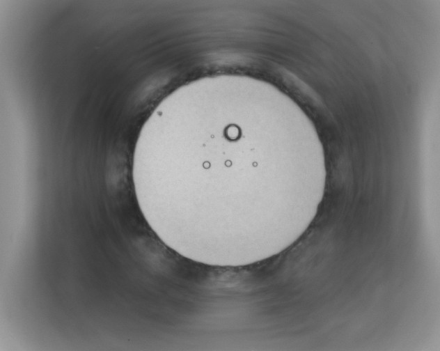 X0000113900824200909241435