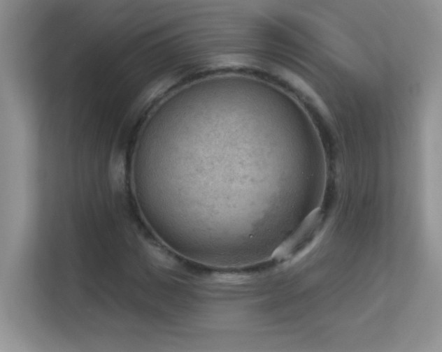 X0000113900825200909241435