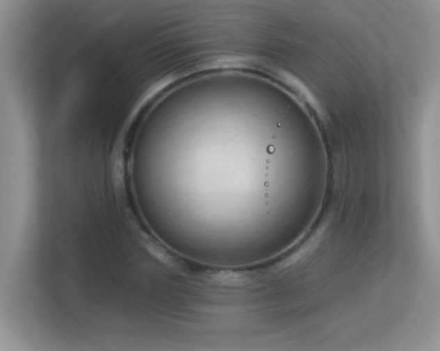 X0000113900827200909241435