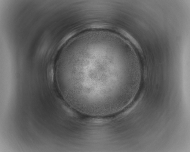 X0000113900829200909241435