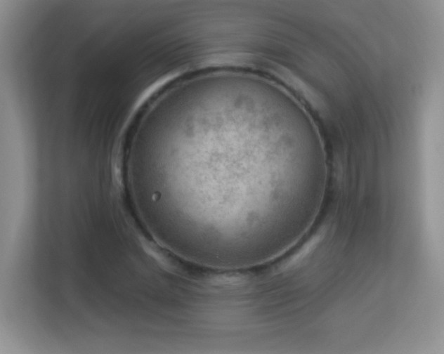 X0000113900830200909241435