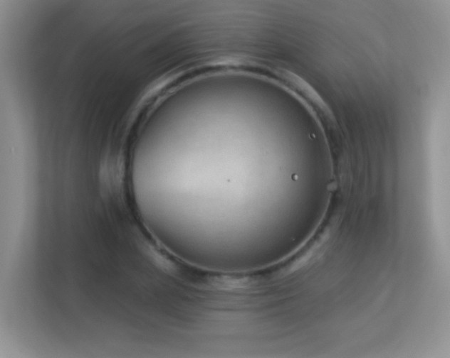 X0000113900831200909241435