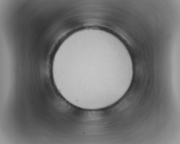 X0000113900832200909241435