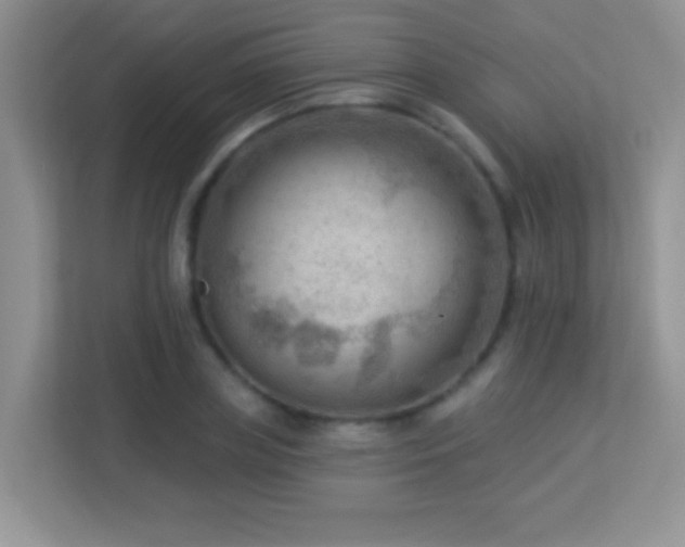 X0000113900835200909241435