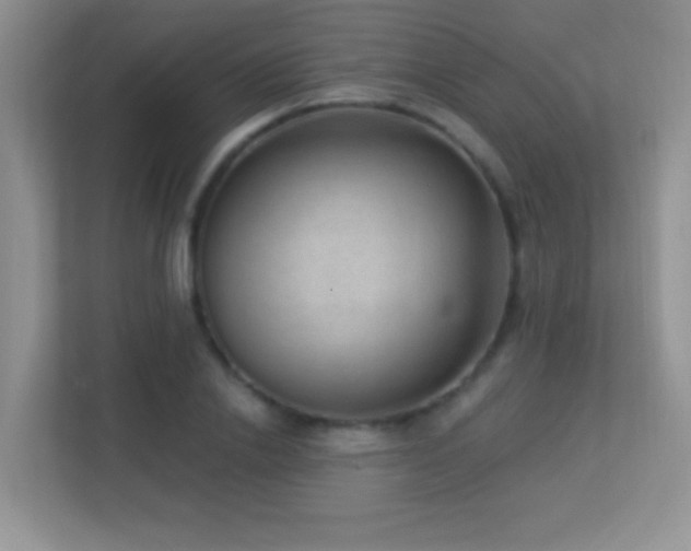 X0000113900838200909241436