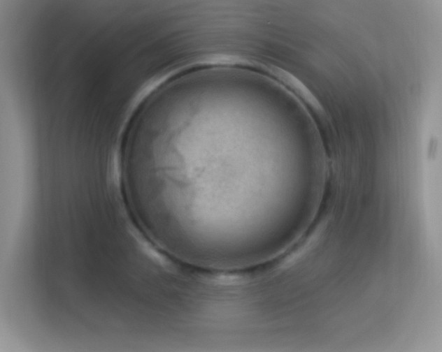 X0000113900839200909241436