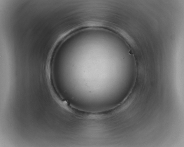 X0000113900840200909241436