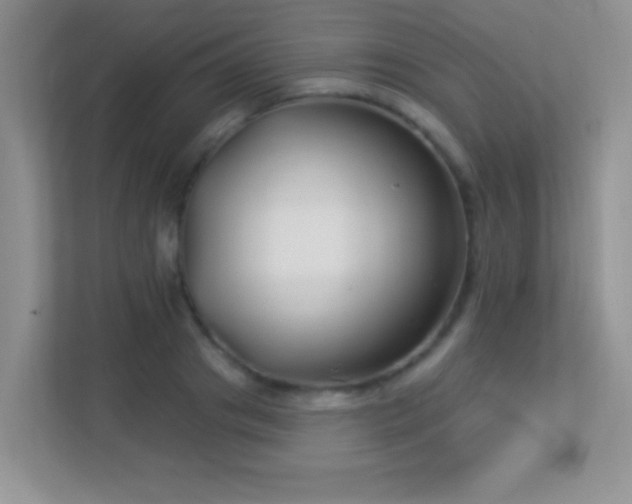 X0000113900841200909241436