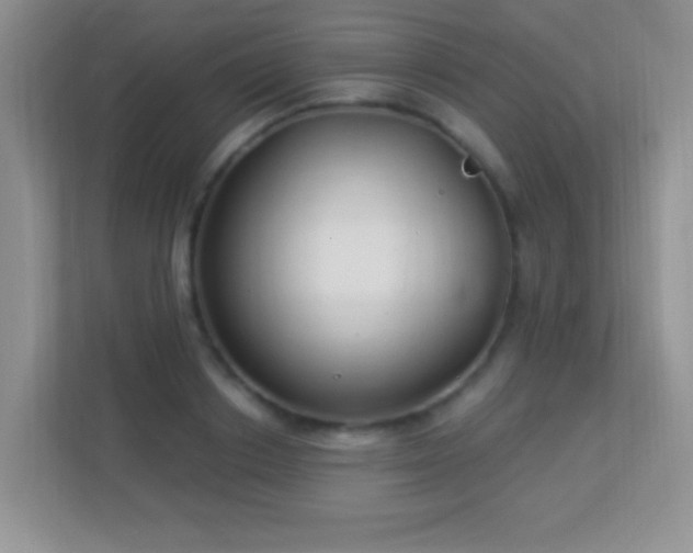 X0000113900842200909241436
