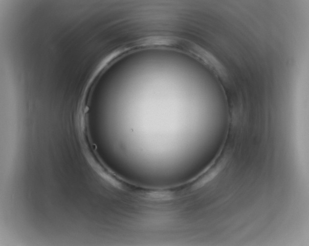 X0000113900844200909241436