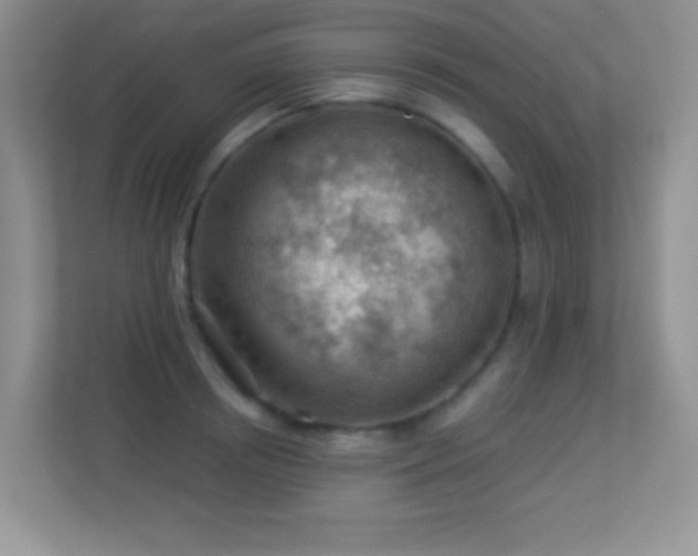 X0000113900850200909241436