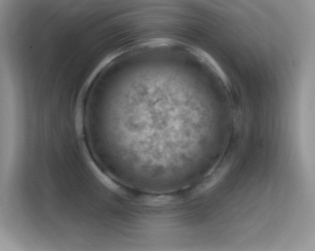 X0000113900851200909241436