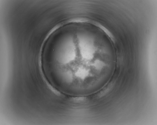 X0000113900853200909241436