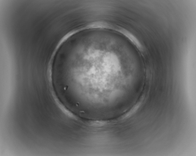 X0000113900854200909241436