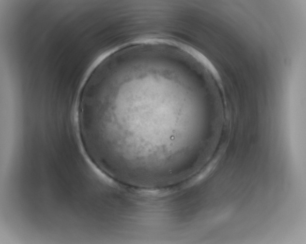 X0000113900855200909241436