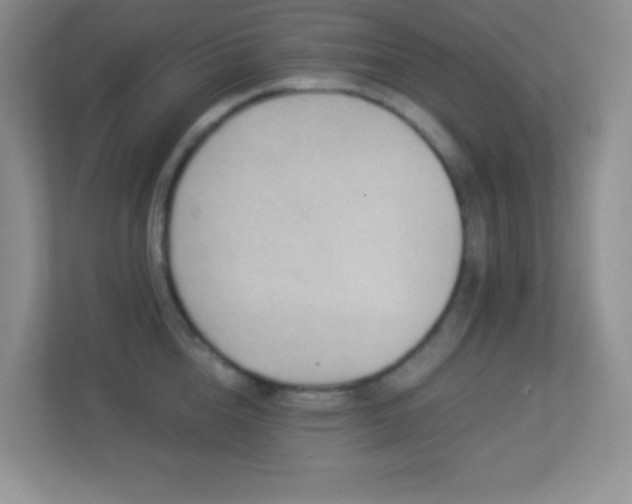 X0000113900856200909241436
