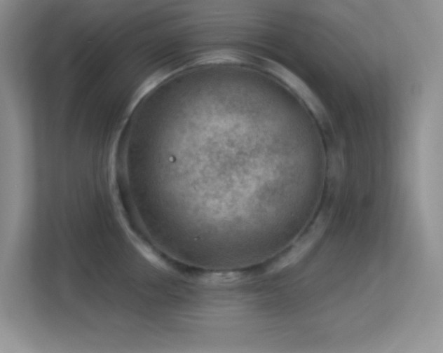 X0000113900858200909241436