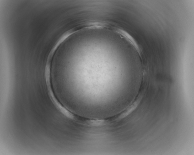 X0000113900859200909241436