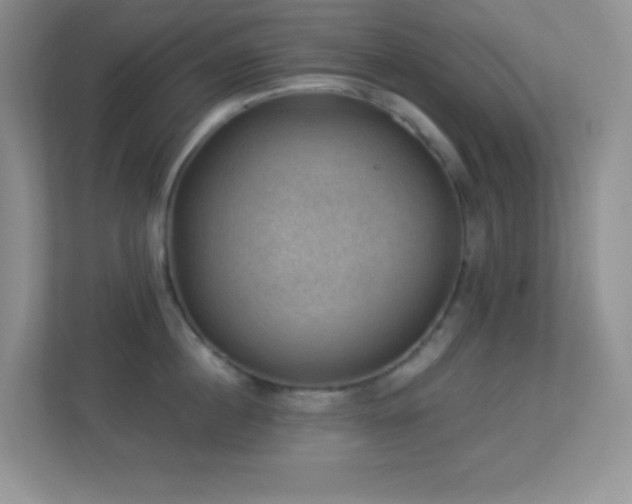 X0000113900860200909241436
