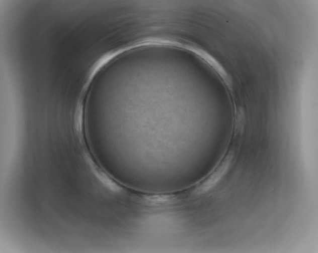 X0000113900862200909241436
