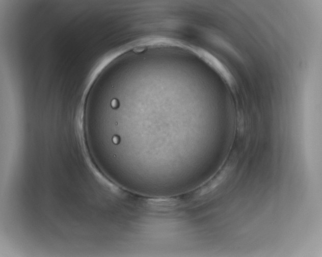 X0000113900863200909241436