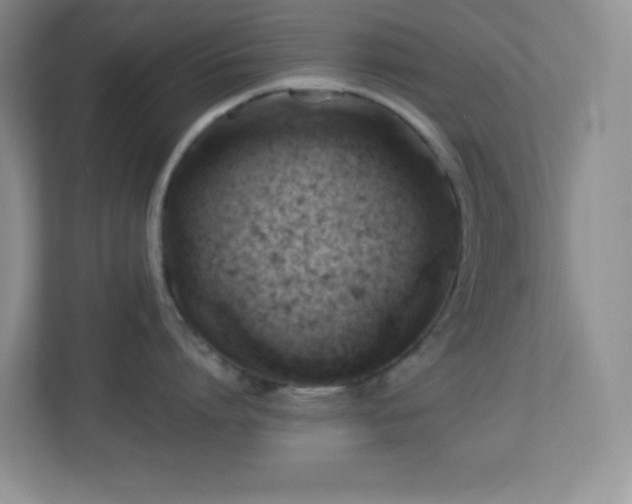 X0000113900864200909241436