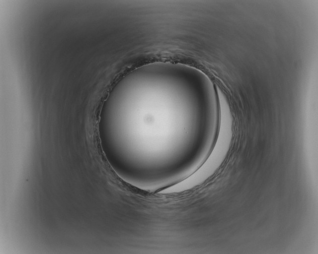 X0000113900865200909241435