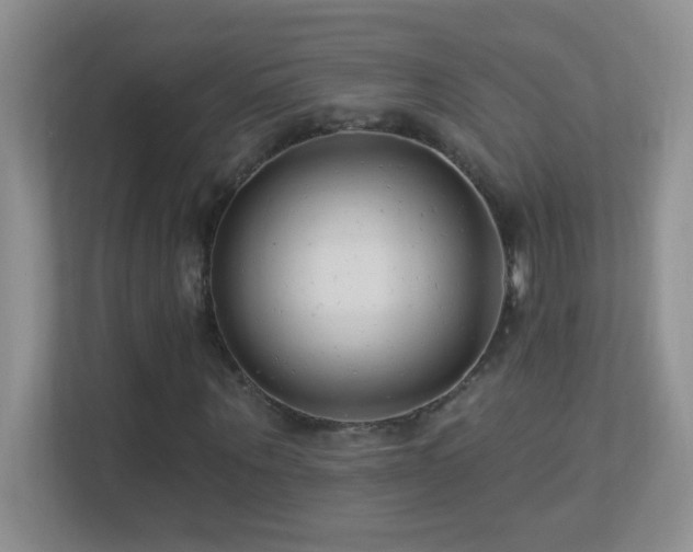 X0000113900867200909241435