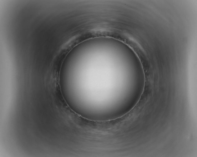 X0000113900870200909241435