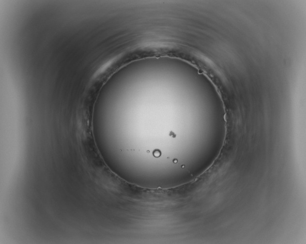 X0000113900871200909241435