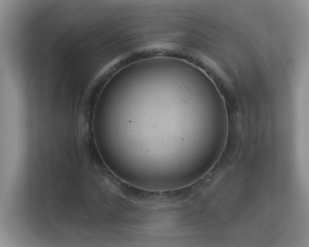 X0000113900872200909241435