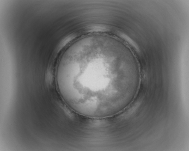 X0000113900874200909241435