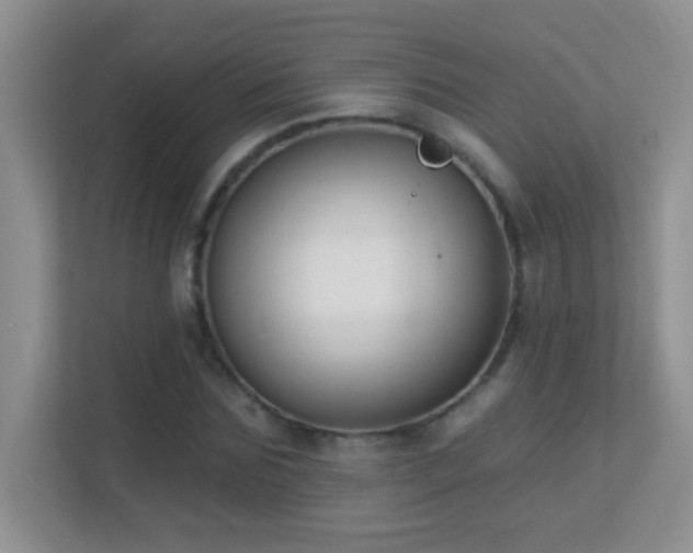 X0000113900875200909241435