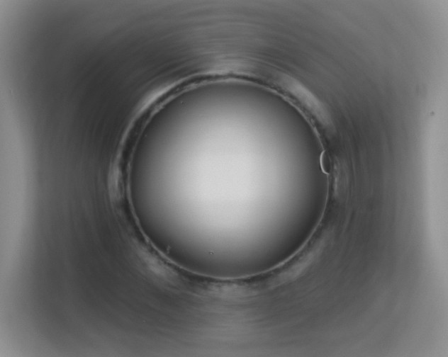 X0000113900876200909241435