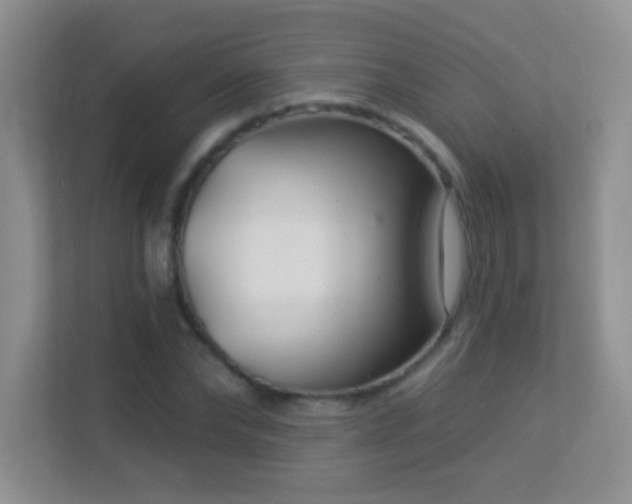 X0000113900878200909241435