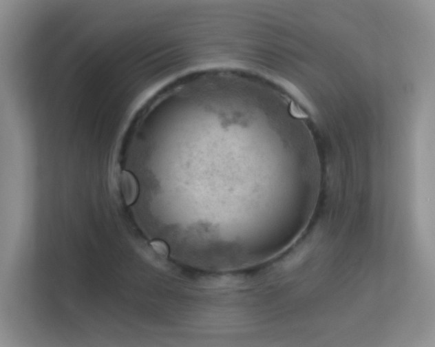 X0000113900879200909241435